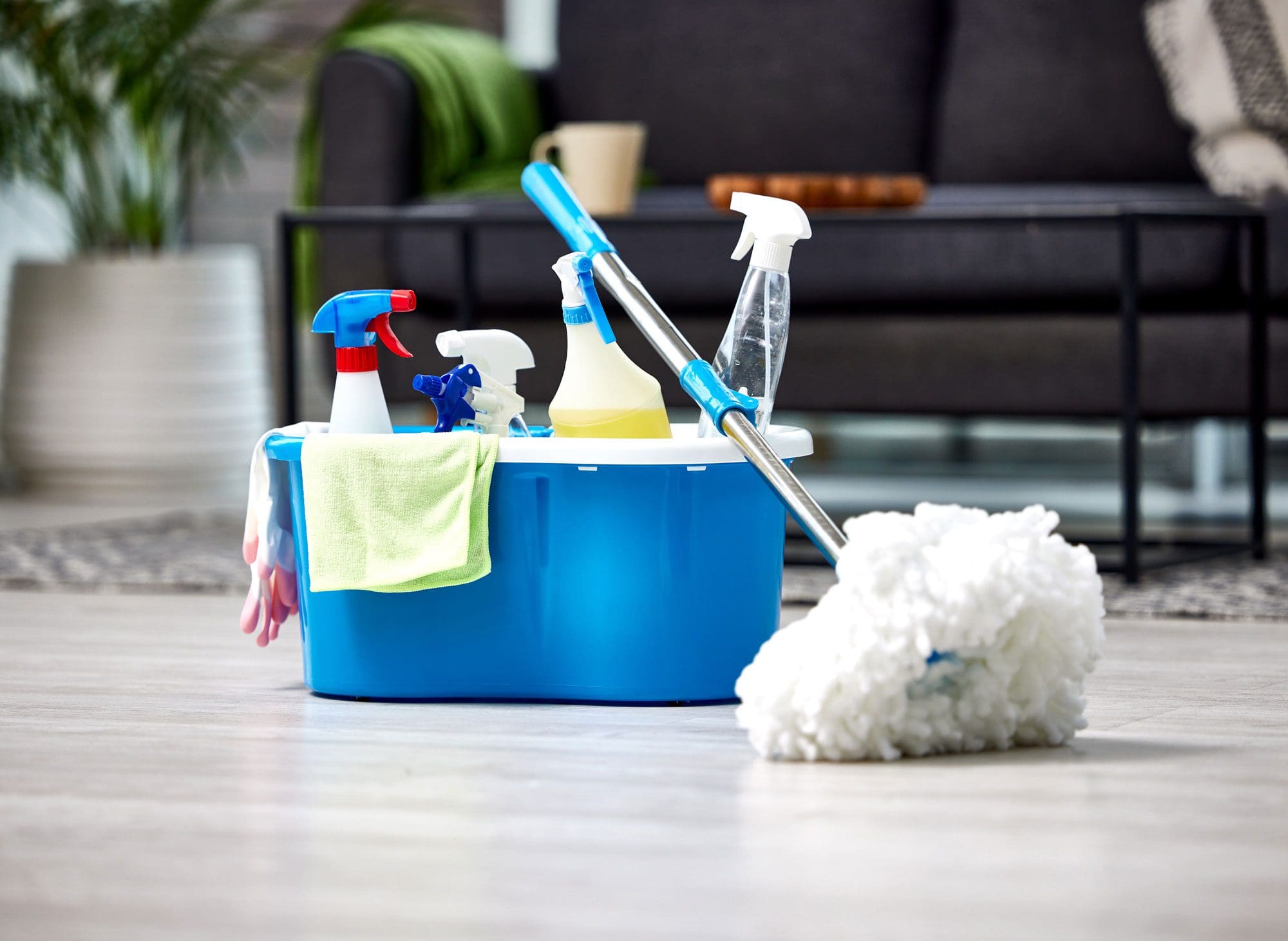 Cleaning supplies in a bucket sitting in a clean living room